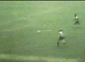 bo reflex